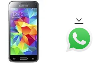 Comment installer WhatsApp dans un Samsung Galaxy S5 mini Duos