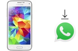 Comment installer WhatsApp dans un Samsung Galaxy S5 mini