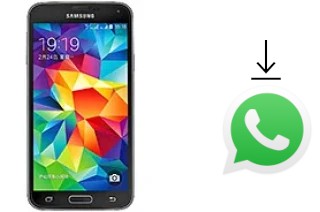 Comment installer WhatsApp dans un Samsung Galaxy S5 Duos