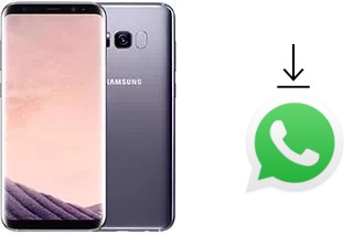 Comment installer WhatsApp dans un Samsung Galaxy S8+ Exynos