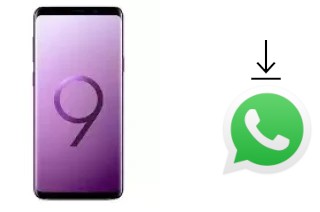 Comment installer WhatsApp dans un Samsung Galaxy S9 Exynos