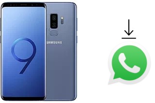 Comment installer WhatsApp dans un Samsung Galaxy S9+