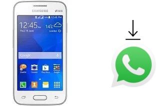 Comment installer WhatsApp dans un Samsung Galaxy V Plus