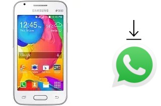 Comment installer WhatsApp dans un Samsung Galaxy V