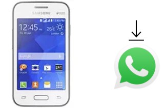 Comment installer WhatsApp dans un Samsung Galaxy Young 2