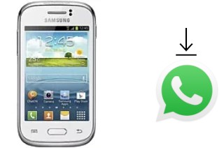 Comment installer WhatsApp dans un Samsung Galaxy Young S6310