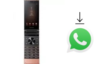 Comment installer WhatsApp dans un Samsung W2019