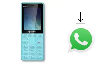 Comment installer WhatsApp dans un Seatel F1