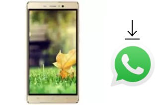 Comment installer WhatsApp dans un Seatel T5