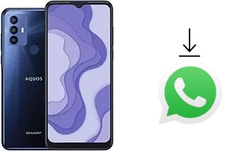 Comment installer WhatsApp dans un Sharp Aquos V6 Plus