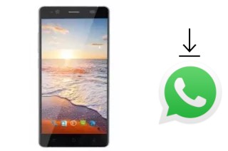 Comment installer WhatsApp dans un Shenzhen Q5501