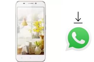 Comment installer WhatsApp dans un SingTech I-Crystal