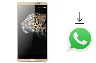 Comment installer WhatsApp dans un SingTech Infinity L1 Plus