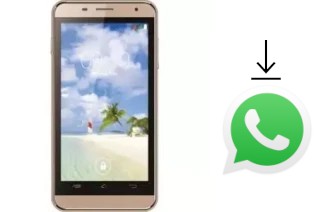 Comment installer WhatsApp dans un SingTech P450S