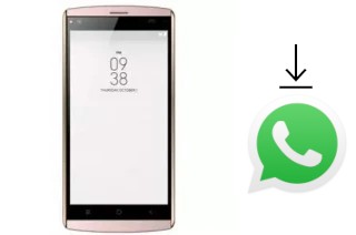 Comment installer WhatsApp dans un SingTech P501