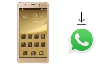 Comment installer WhatsApp dans un SingTech Sapphire H90