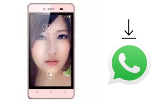 Comment installer WhatsApp dans un SingTech Sapphire Z450