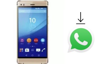 Comment installer WhatsApp dans un SingTech Sapphire Z503