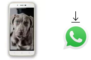 Comment installer WhatsApp dans un Siswoo A6 Vanilla