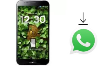 Comment installer WhatsApp dans un Sky-Devices Sky A890