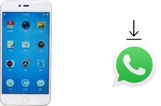 Comment installer WhatsApp dans un Smartisan M1