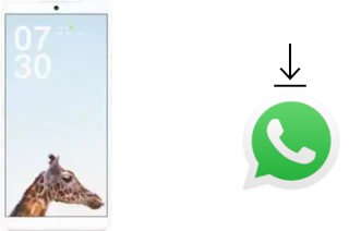 Comment installer WhatsApp dans un Smartisan Nut Pro 2S