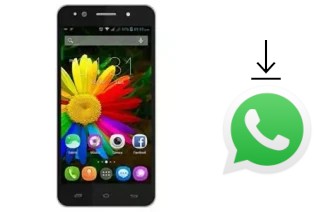 Comment installer WhatsApp dans un Solone SL-SA6