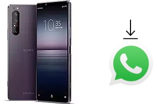 Comment installer WhatsApp dans un Sony Xperia 1 II