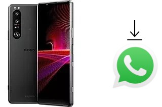 Comment installer WhatsApp dans un Sony Xperia 1 III