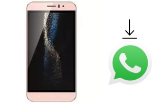 Comment installer WhatsApp dans un SSKY Y444