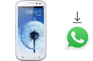 Comment installer WhatsApp dans un Star B92M