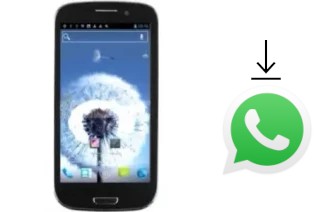 Comment installer WhatsApp dans un Star B93