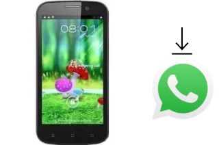 Comment installer WhatsApp dans un Star B94M