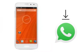 Comment installer WhatsApp dans un Star N900 S5