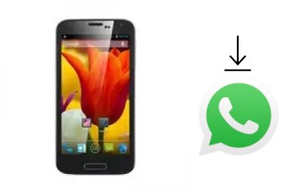 Comment installer WhatsApp dans un Star W500