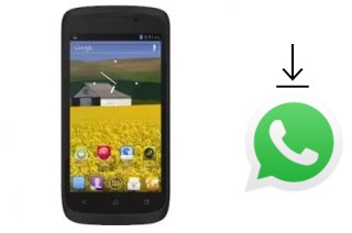 Comment installer WhatsApp dans un Strawberry Flame