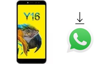 Comment installer WhatsApp dans un Sugar Y16