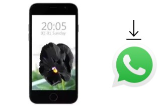 Comment installer WhatsApp dans un SYH Young Y38