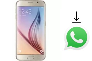 Comment installer WhatsApp dans un Tasen X131