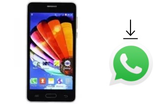 Comment installer WhatsApp dans un Tashan TS-801