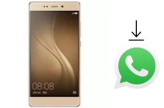 Comment installer WhatsApp dans un Tashan TS-880