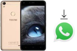 Comment installer WhatsApp dans un Tecno WX4