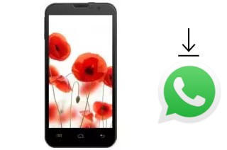 Comment installer WhatsApp dans un TELEFUNKEN TF-SP5001