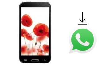 Comment installer WhatsApp dans un TELEFUNKEN TF-SP5302