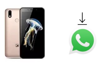 Comment installer WhatsApp dans un Texet TM-5081