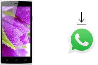 Comment installer WhatsApp dans un THL T6S