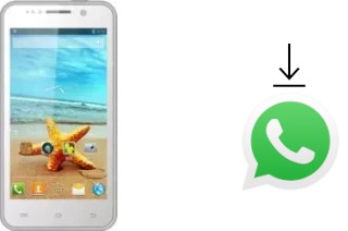 Comment installer WhatsApp dans un THL W100