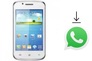 Comment installer WhatsApp dans un Tiger KF-222