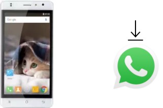 Comment installer WhatsApp dans un Timmy M50