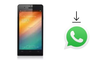 Comment installer WhatsApp dans un Titan Q5